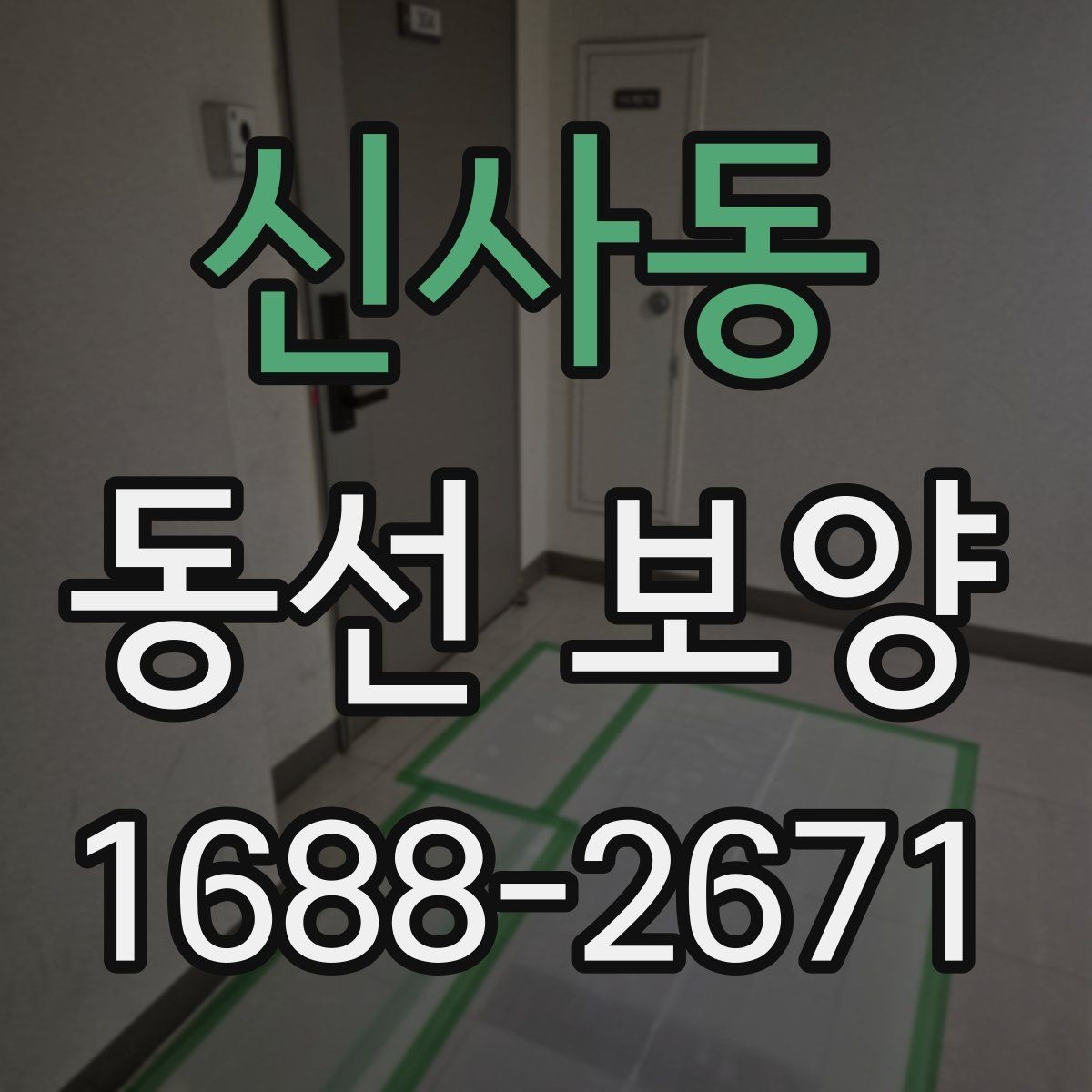 신사동 동선 보양 비용 계산 전에 확인할 부분