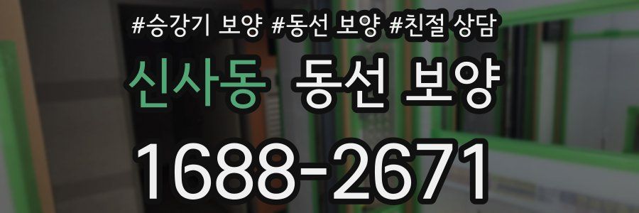 신사동 동선 보양