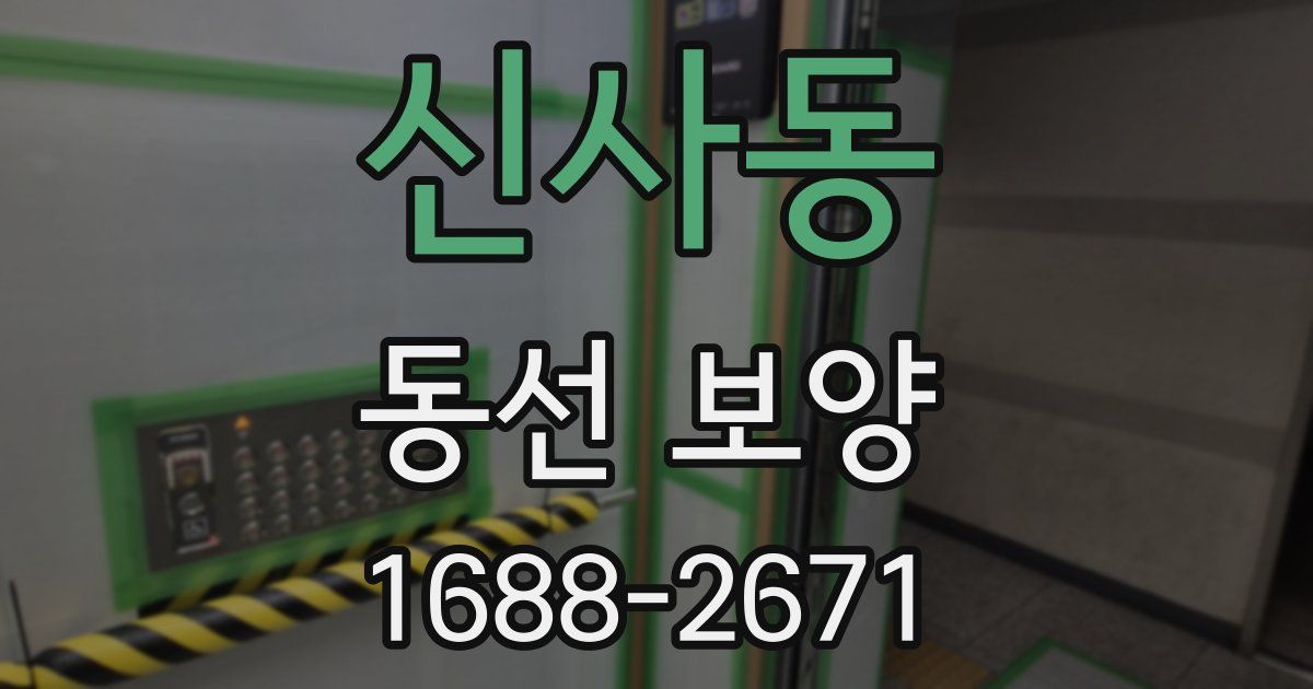 신사동 동선 보양