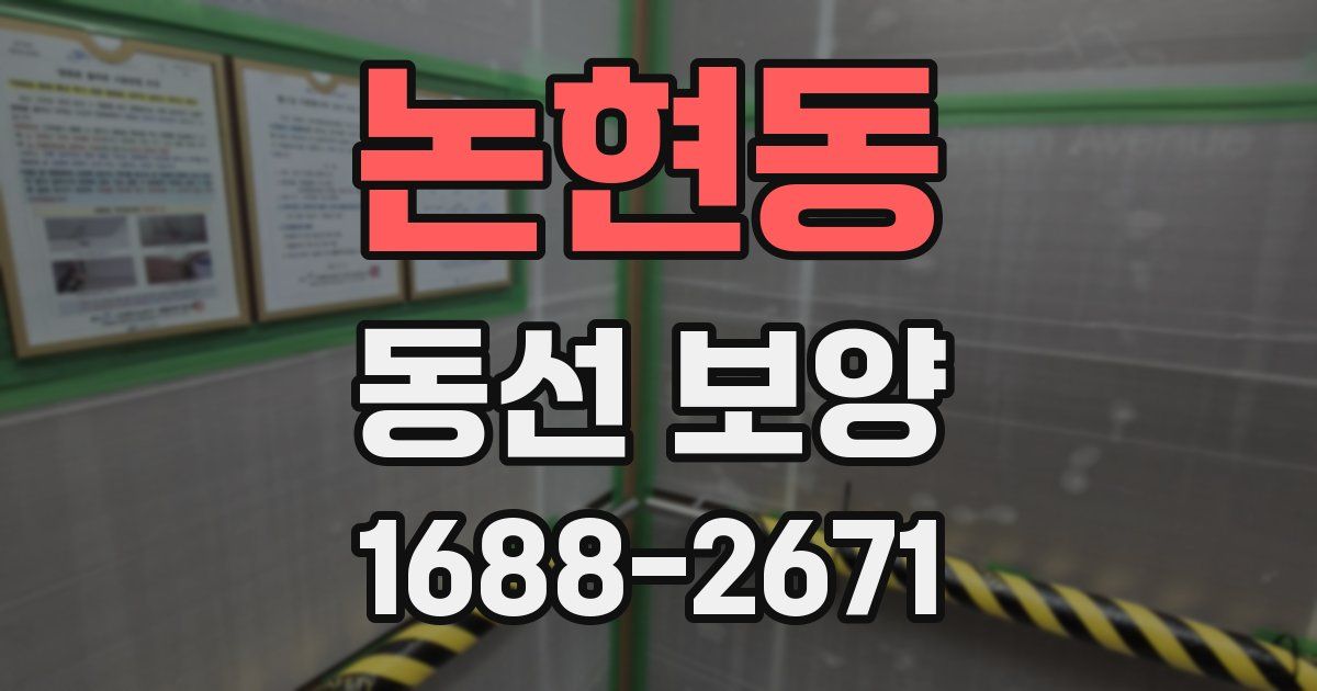 논현동 동선 보양