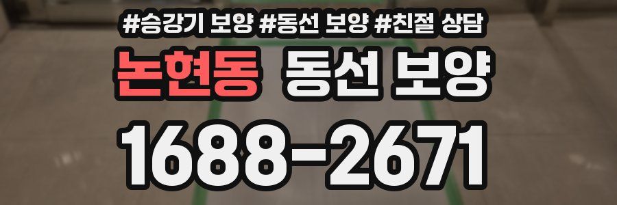 논현동 동선 보양