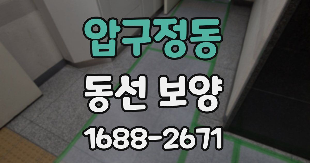 압구정동 동선 보양