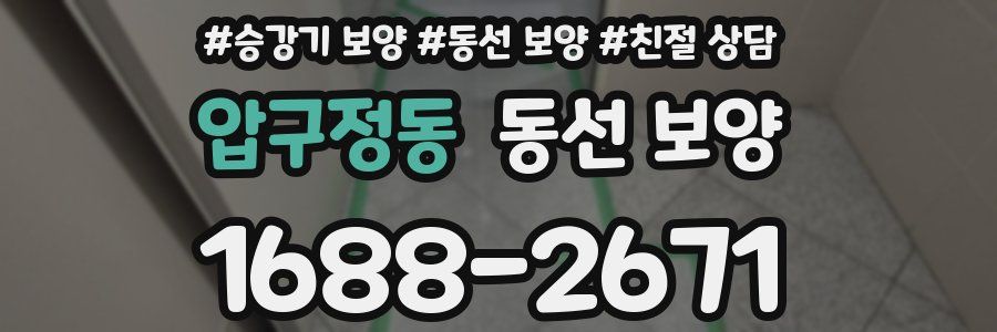 압구정동 동선 보양
