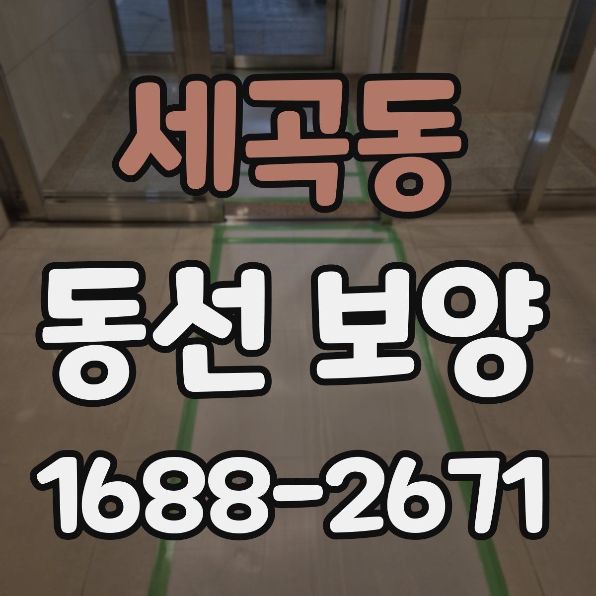 세곡동 동선 보양 비용과 품질의 균형 잡기