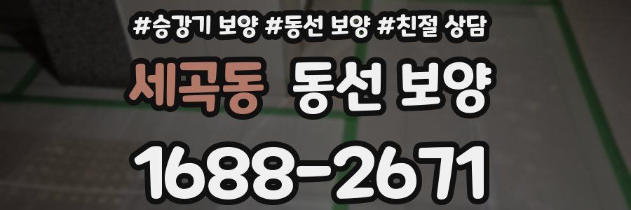 세곡동 동선 보양
