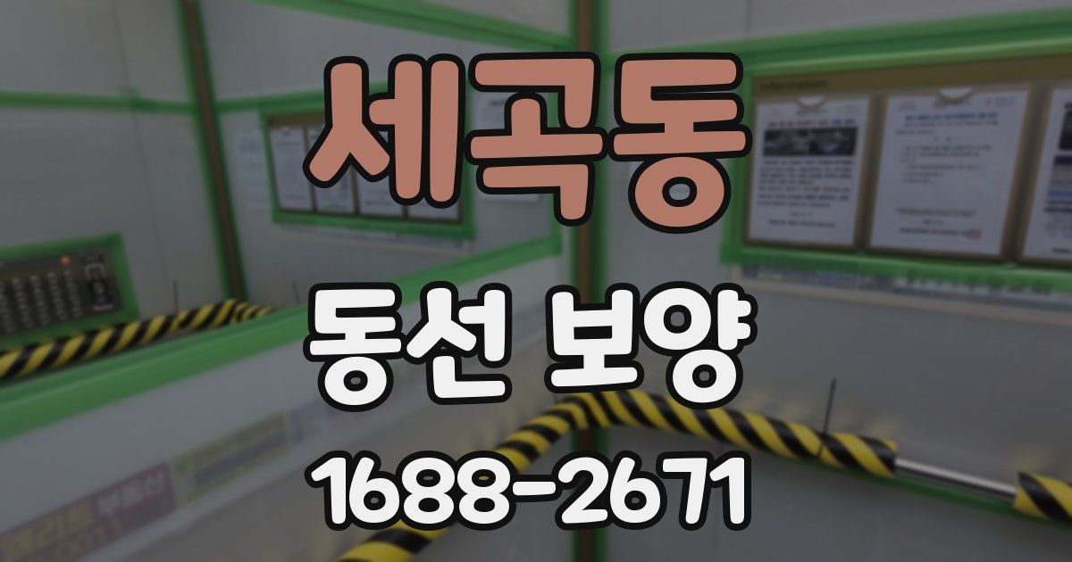 세곡동 동선 보양