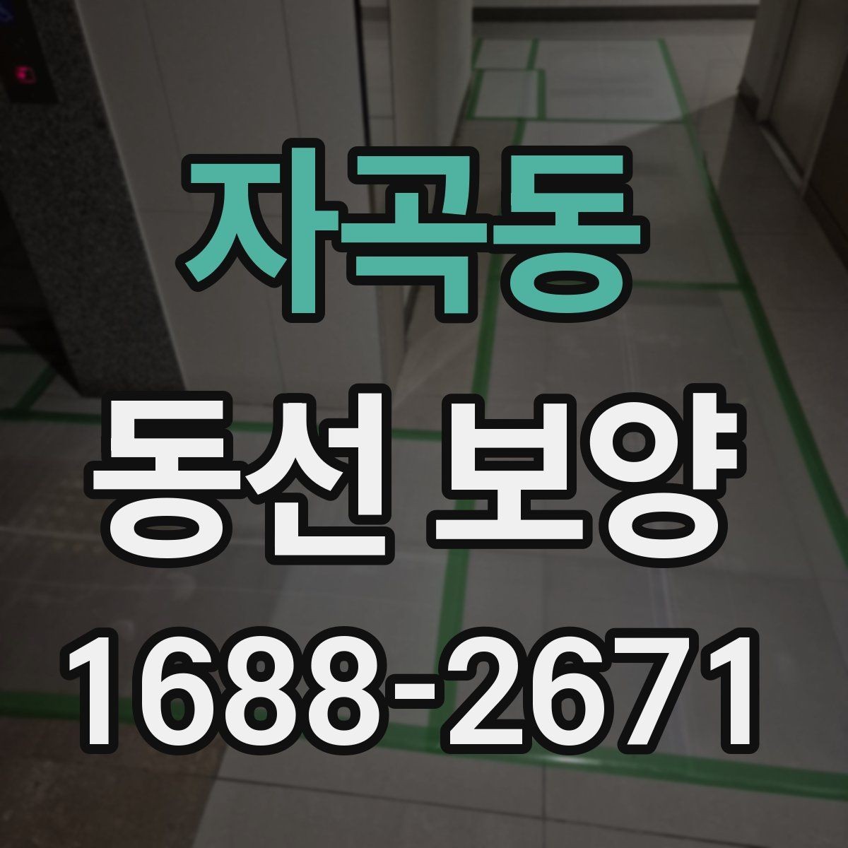 자곡동 동선 보양 자재 고를 때 보는 핵심 포인트