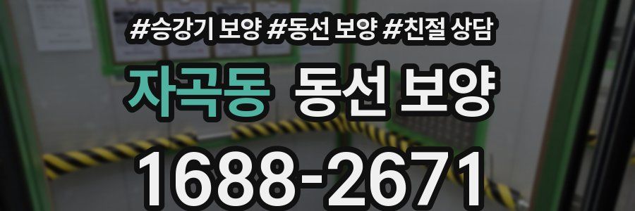 자곡동 동선 보양