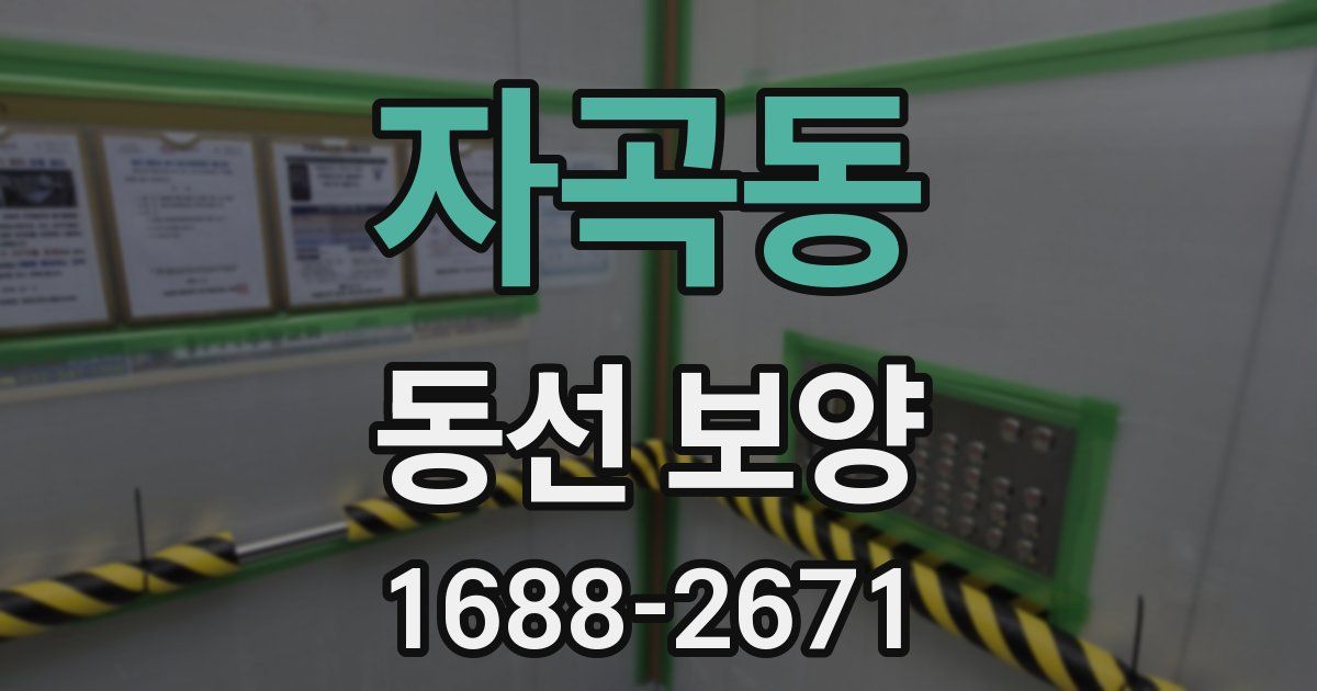 자곡동 동선 보양