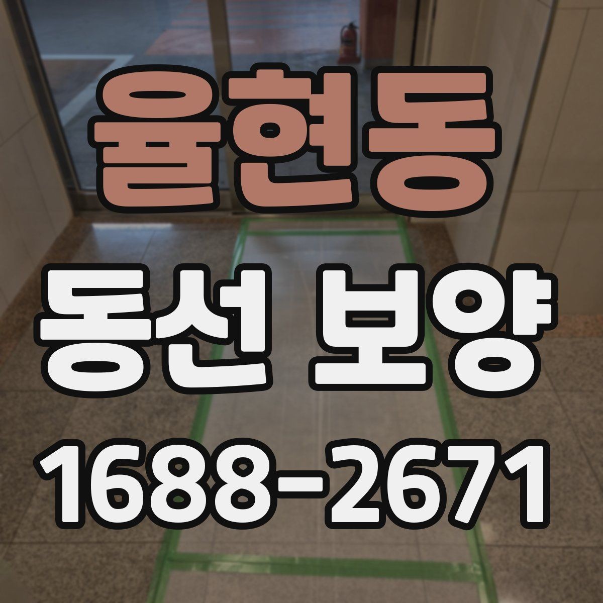 율현동 동선 보양 업체 상담 전에 알아두면 좋은 점