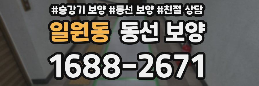 일원동 동선 보양