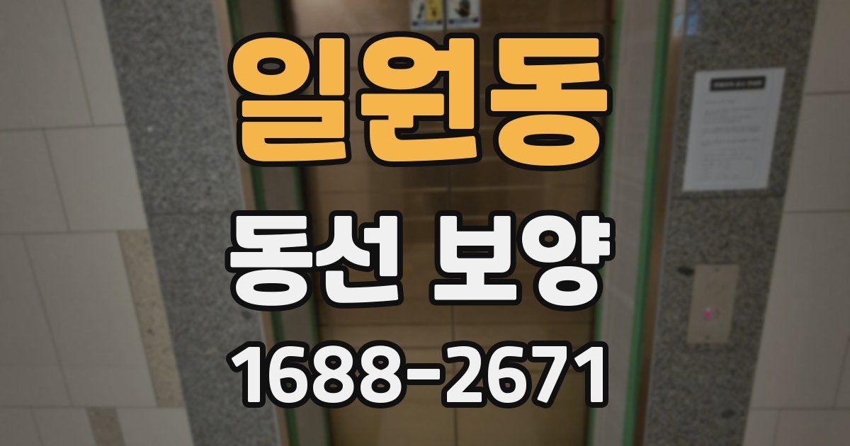 일원동 동선 보양