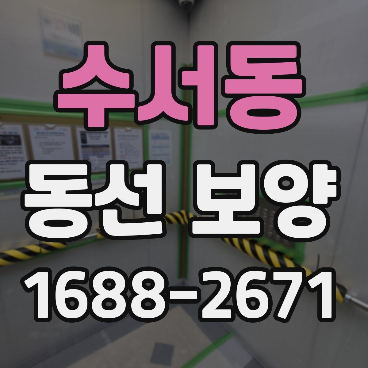 수서동 동선 보양 비용 견적을 볼 때 확인할 항목
