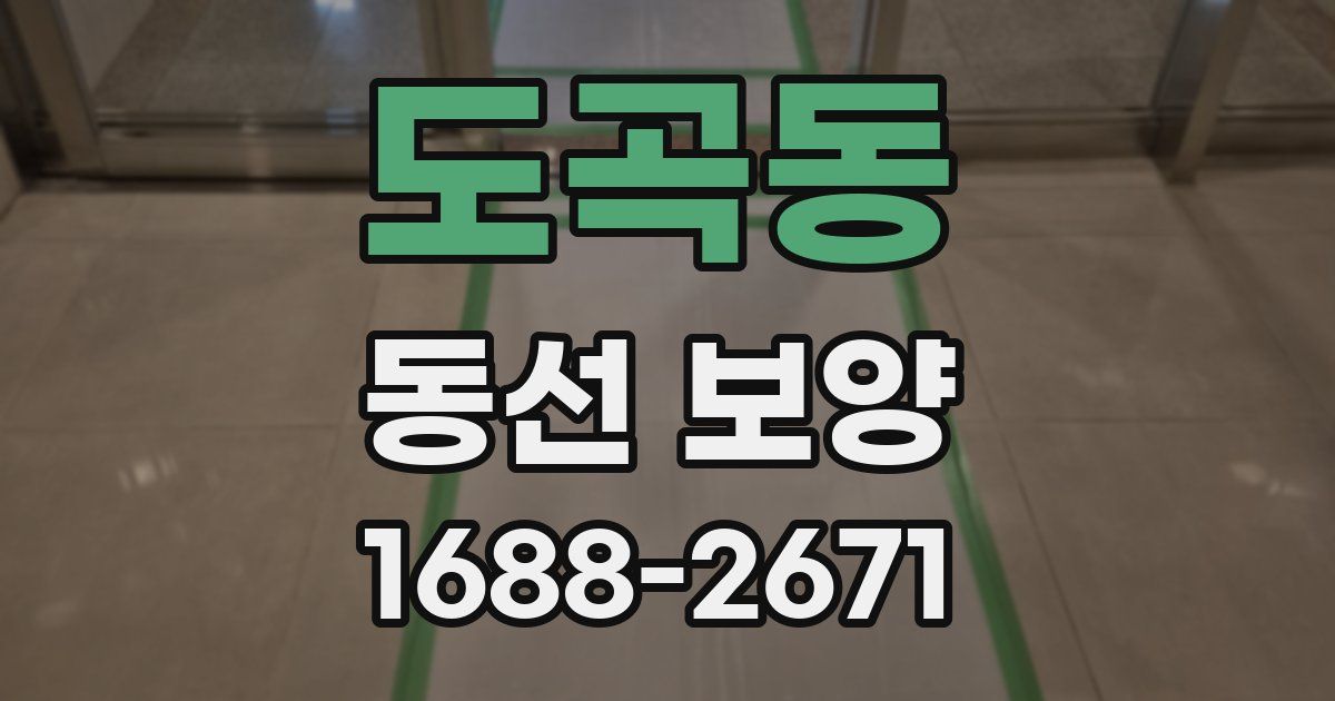 도곡동 동선 보양