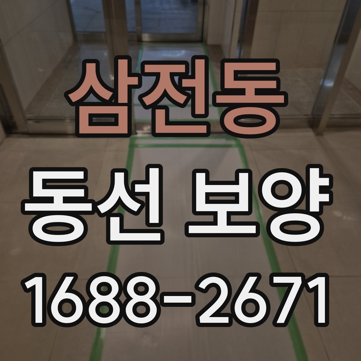 삼전동 동선 보양 비용 견적을 볼 때 확인할 항목