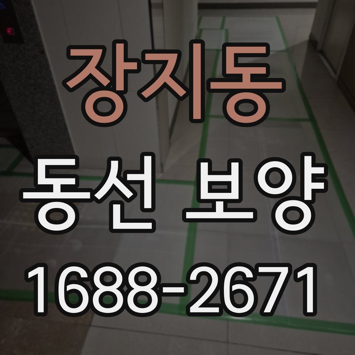 장지동 동선 보양 현장 적용 사례와 작업 노하우