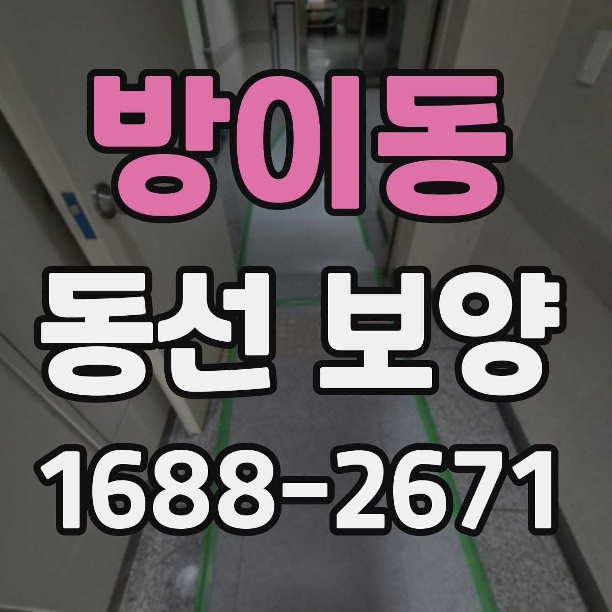 방이동 동선 보양 선택 전 비교해야 할 항목들