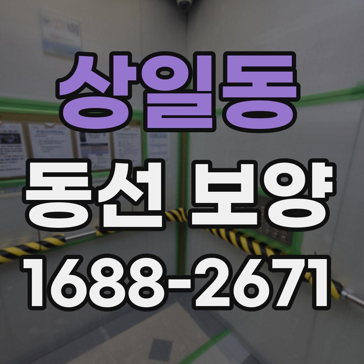 상일동 동선 보양 비용을 줄이기 위한 선택 기준