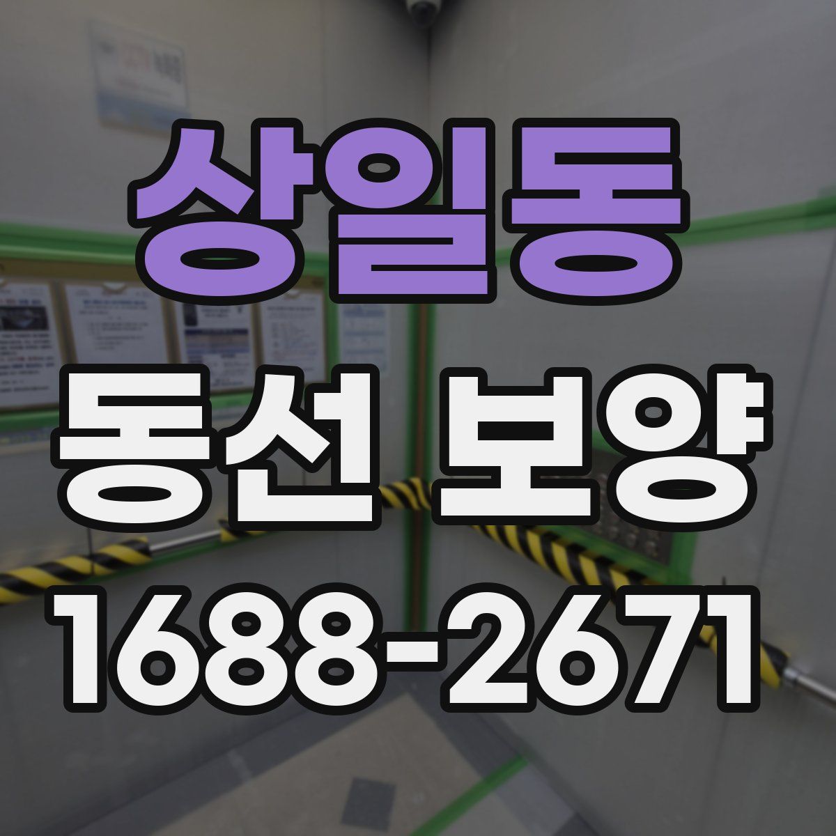 상일동 동선 보양