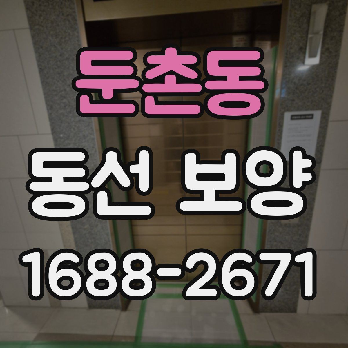 둔촌동 동선 보양 비용은 어떤 요소로 달라질까