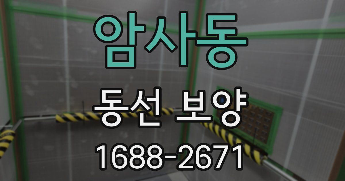 암사동 동선 보양