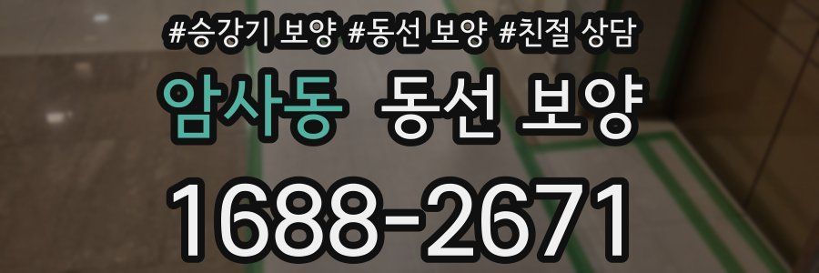 암사동 동선 보양