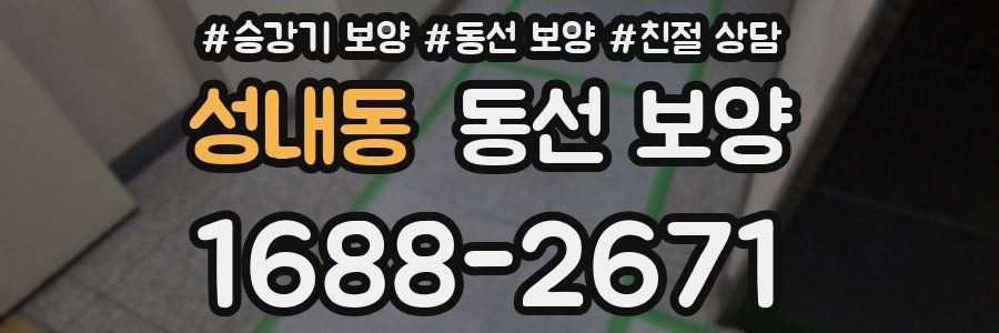 성내동 동선 보양