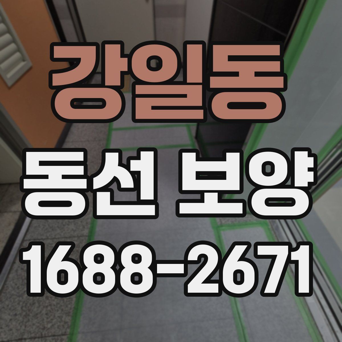 강일동 동선 보양 작업 순서와 준비 단계