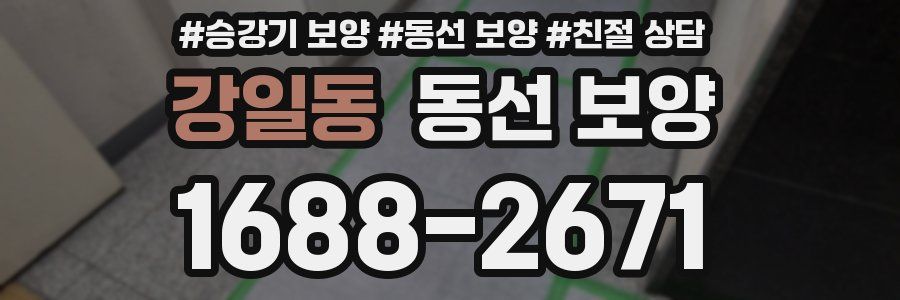 강일동 동선 보양