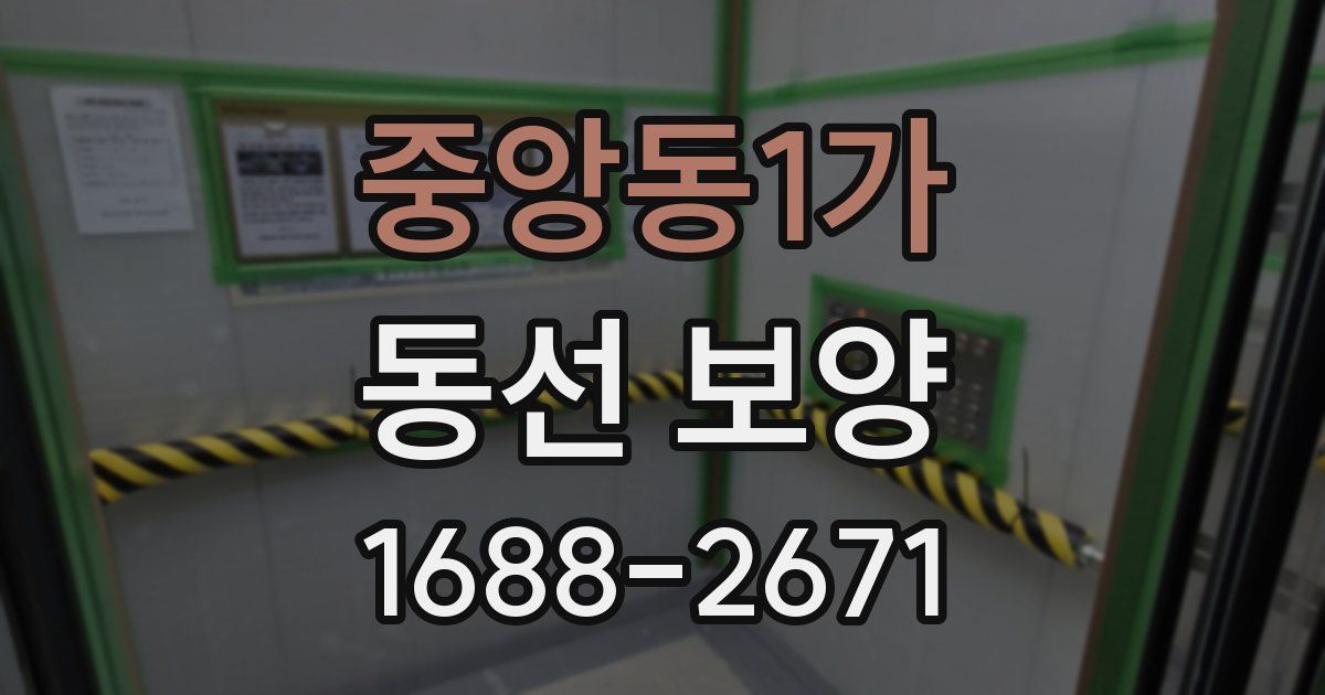 중앙동1가 동선 보양