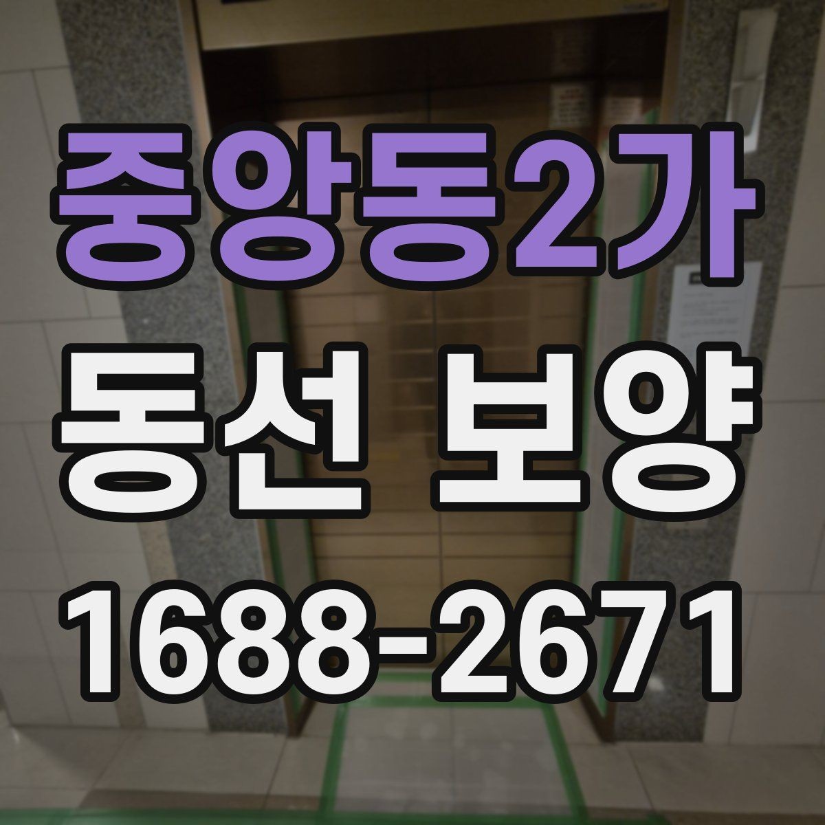 중앙동2가 동선 보양 업체 선정 시 확인할 실무 포인트