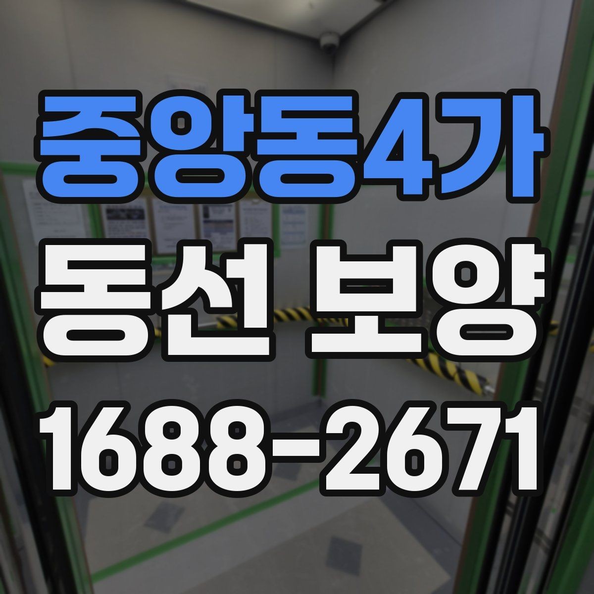 중앙동4가 동선 보양 시 주의해야 할 안전과 동선 관리