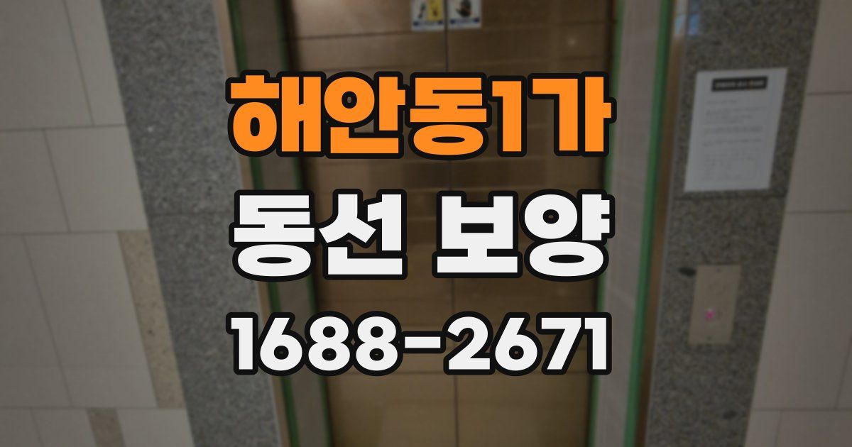 해안동1가 동선 보양