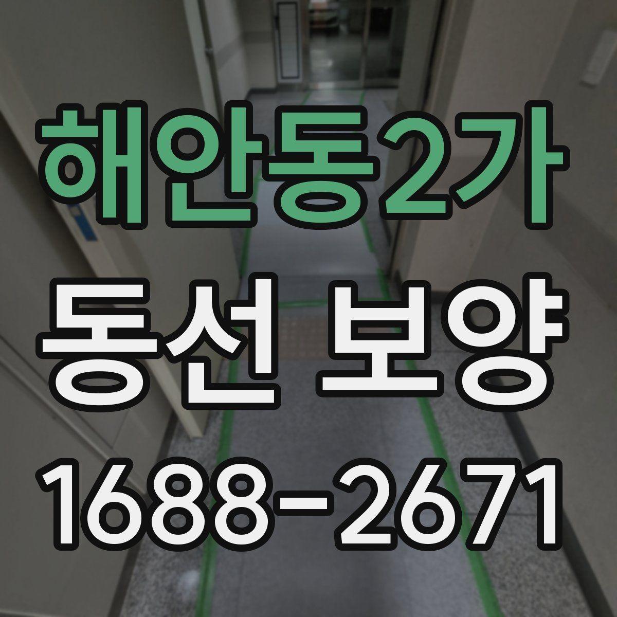 해안동2가 동선 보양 과정에서 생길 수 있는 문제와 대응