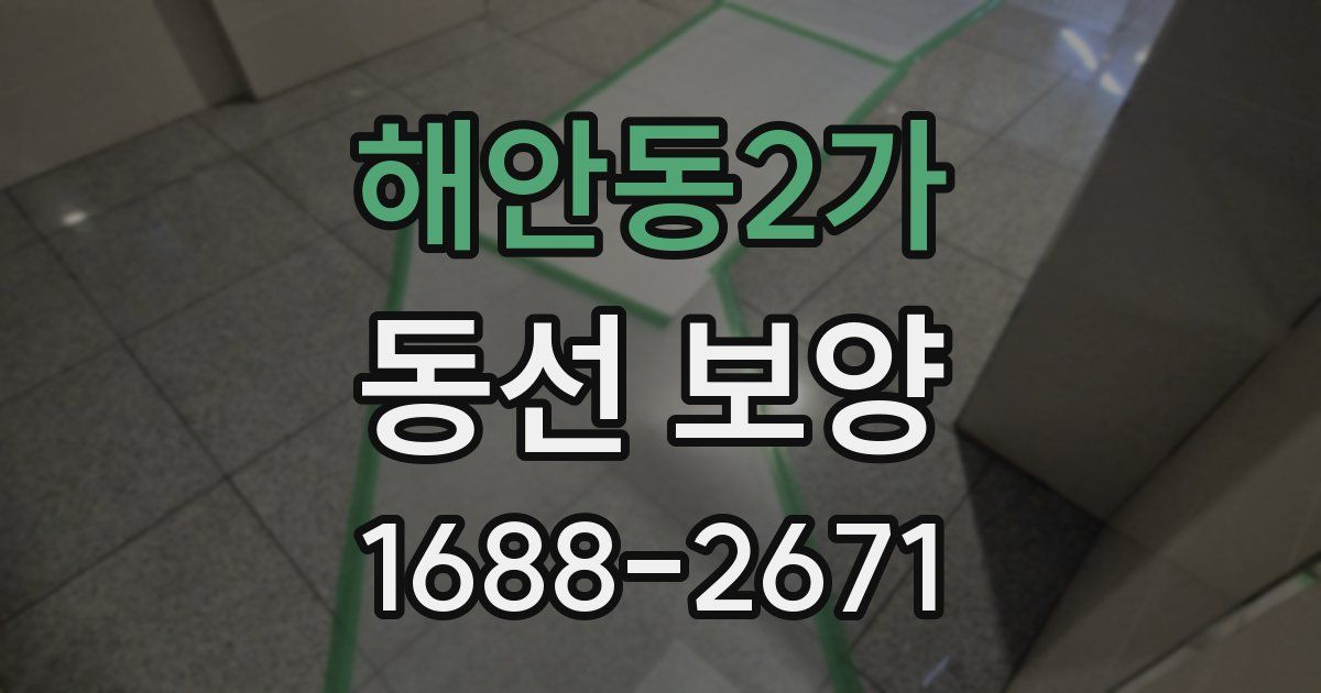 해안동2가 동선 보양
