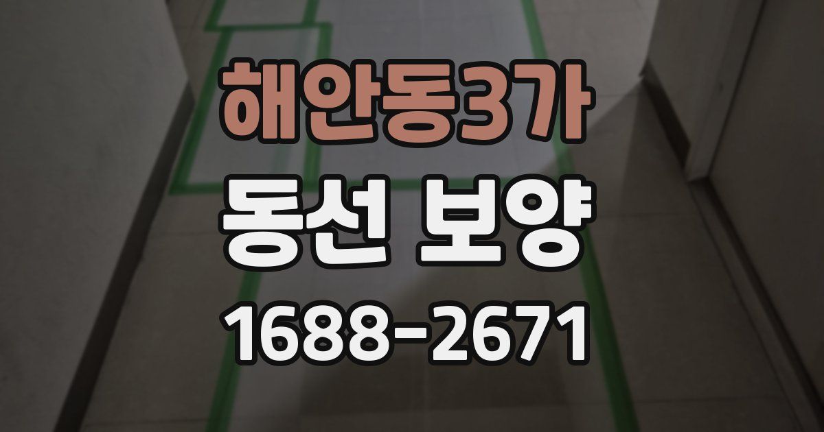 해안동3가 동선 보양