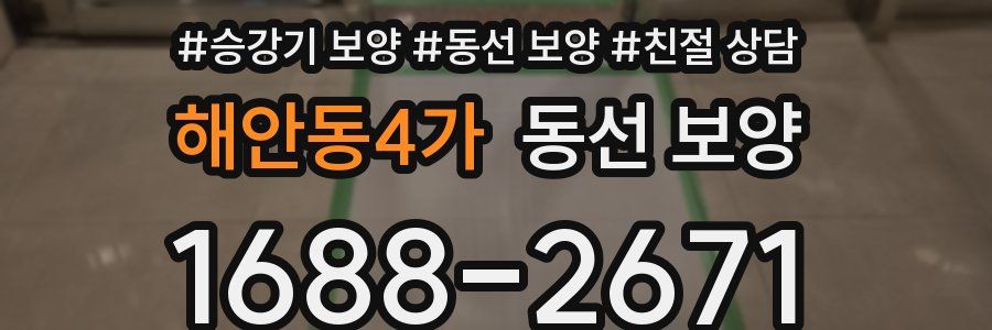 해안동4가 동선 보양