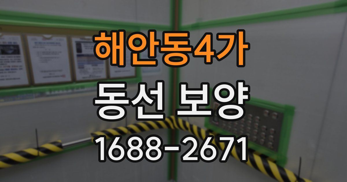 해안동4가 동선 보양