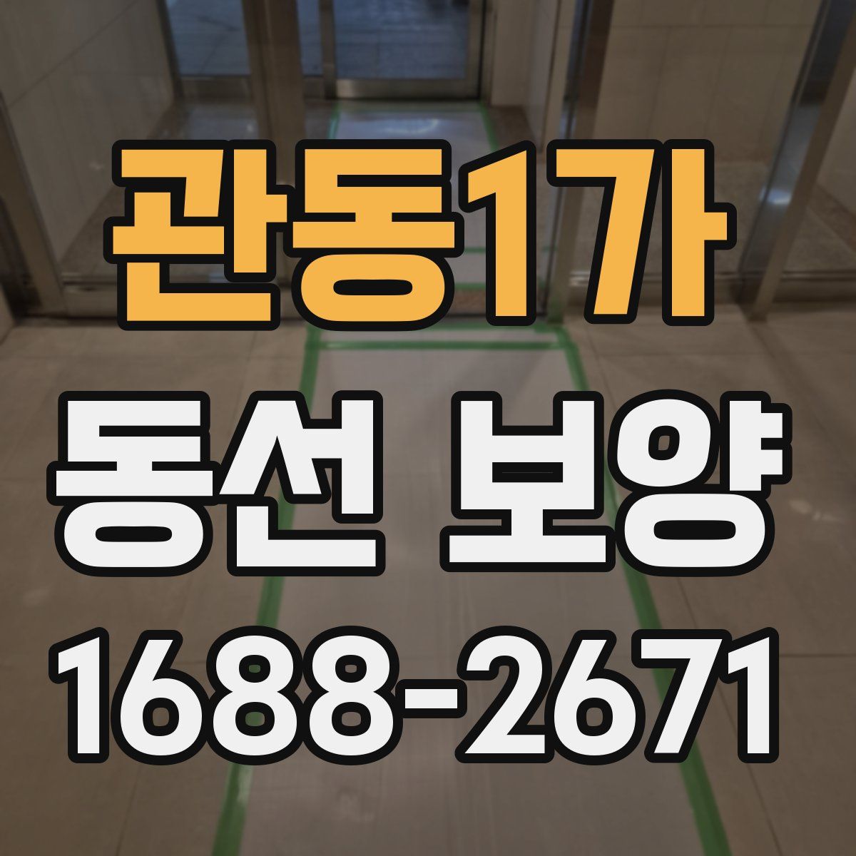 관동1가 동선 보양