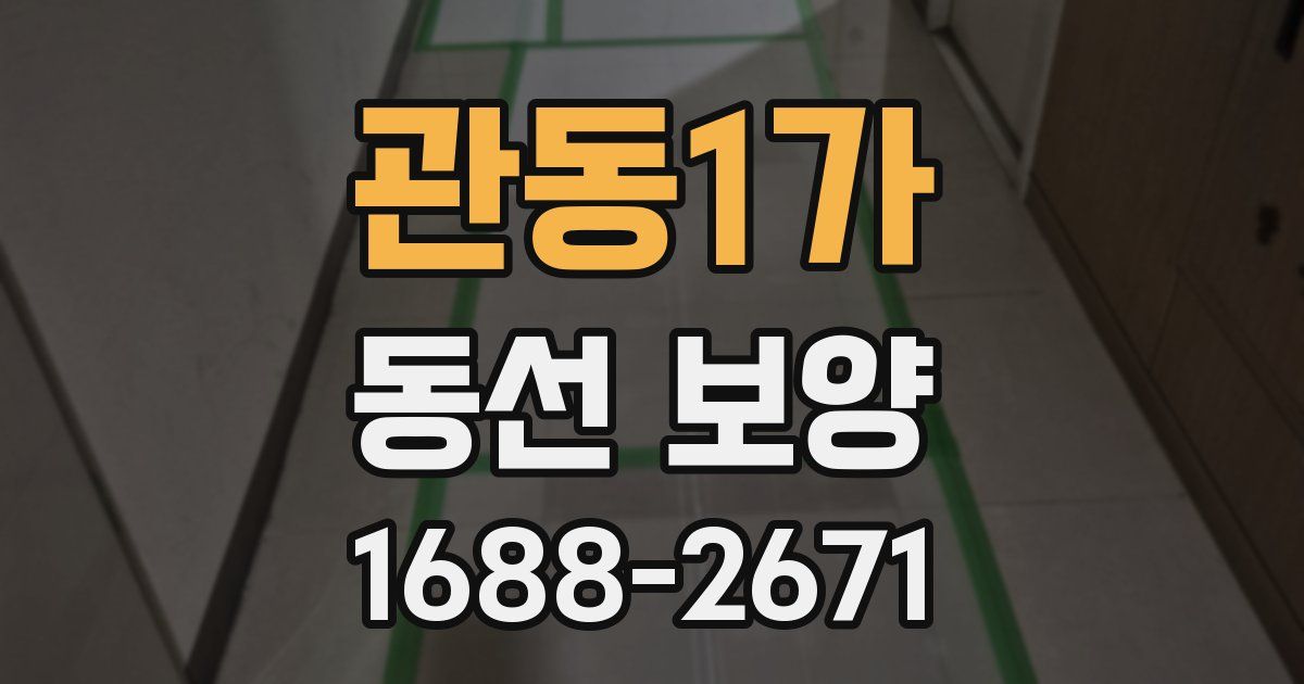관동1가 동선 보양