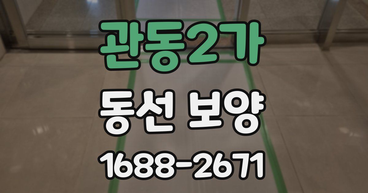 관동2가 동선 보양