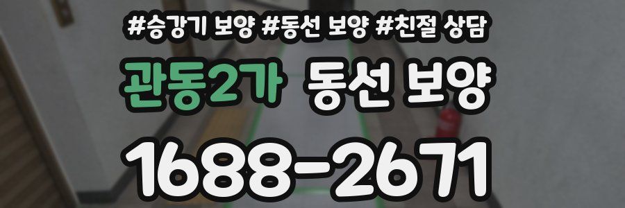 관동2가 동선 보양