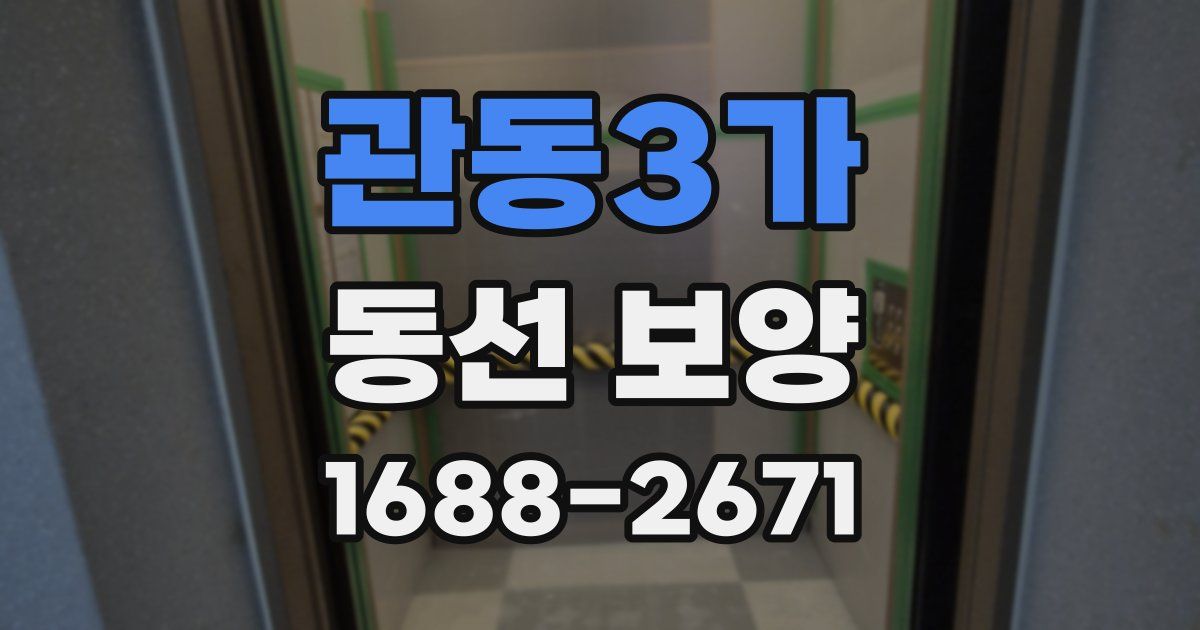 관동3가 동선 보양