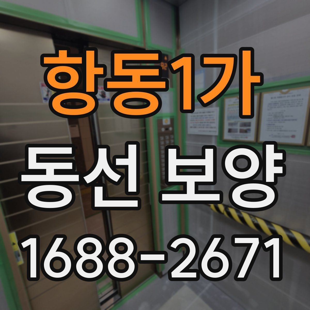 항동1가 동선 보양 비용과 범위가 달라지는 상황