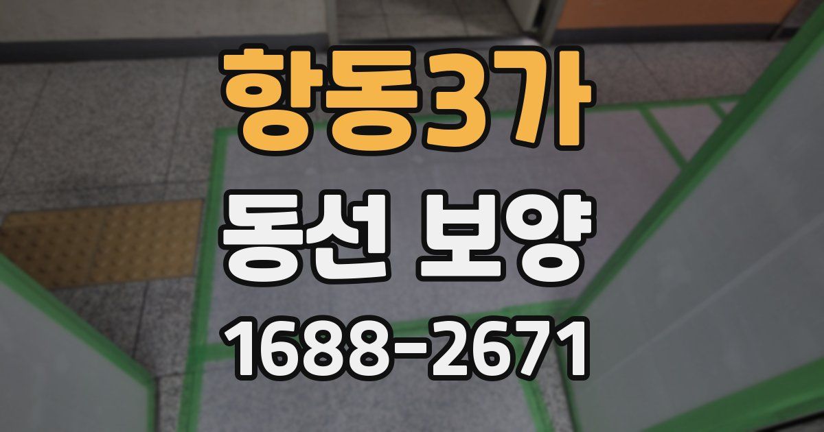 항동3가 동선 보양