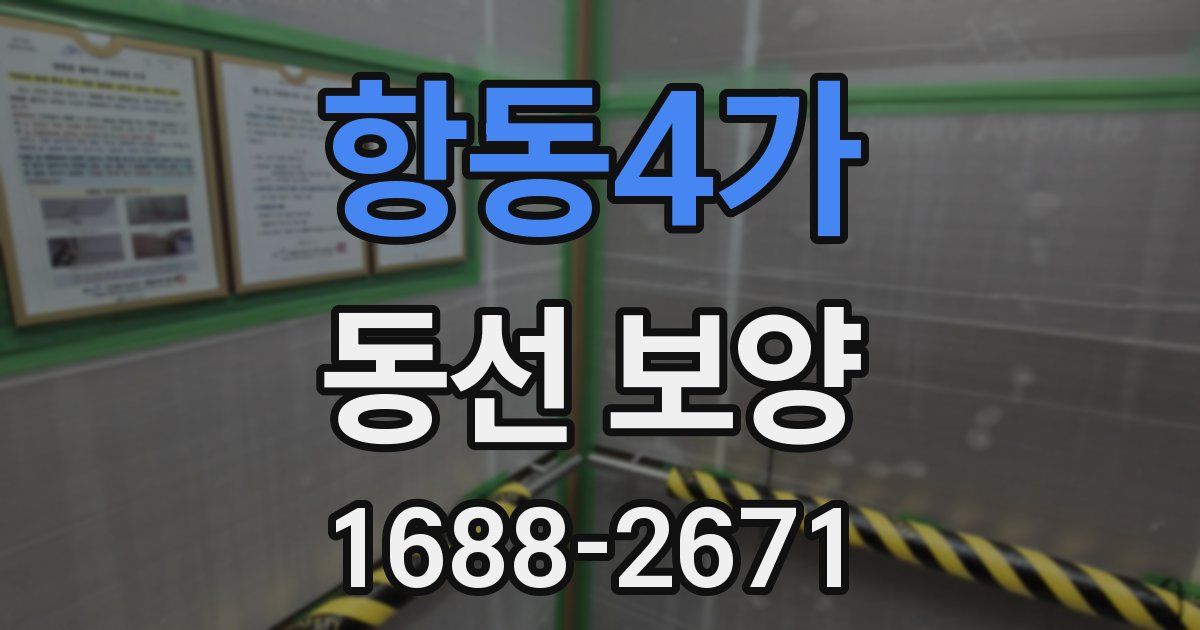 항동4가 동선 보양