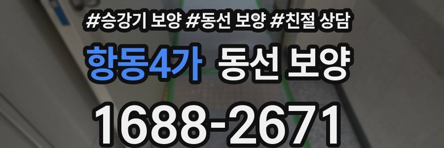 항동4가 동선 보양