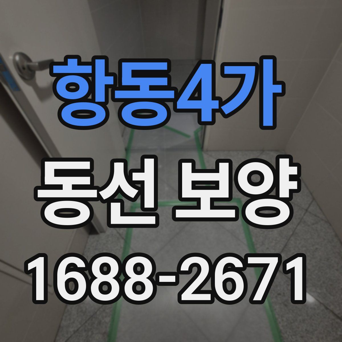 항동4가 동선 보양