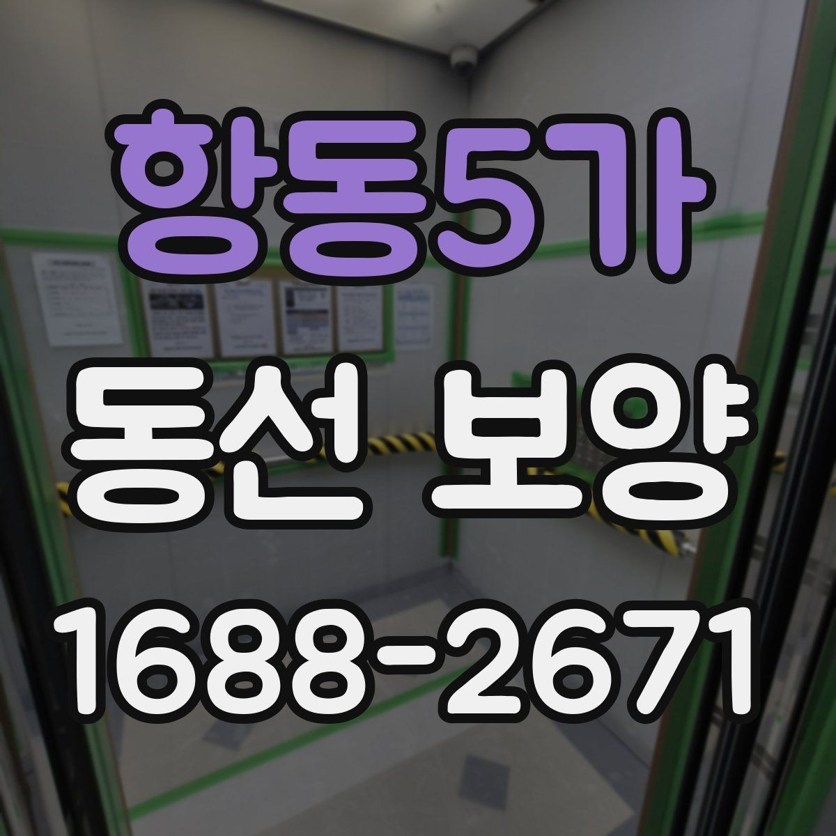 항동5가 동선 보양 현장별로 달라지는 작업 포인트