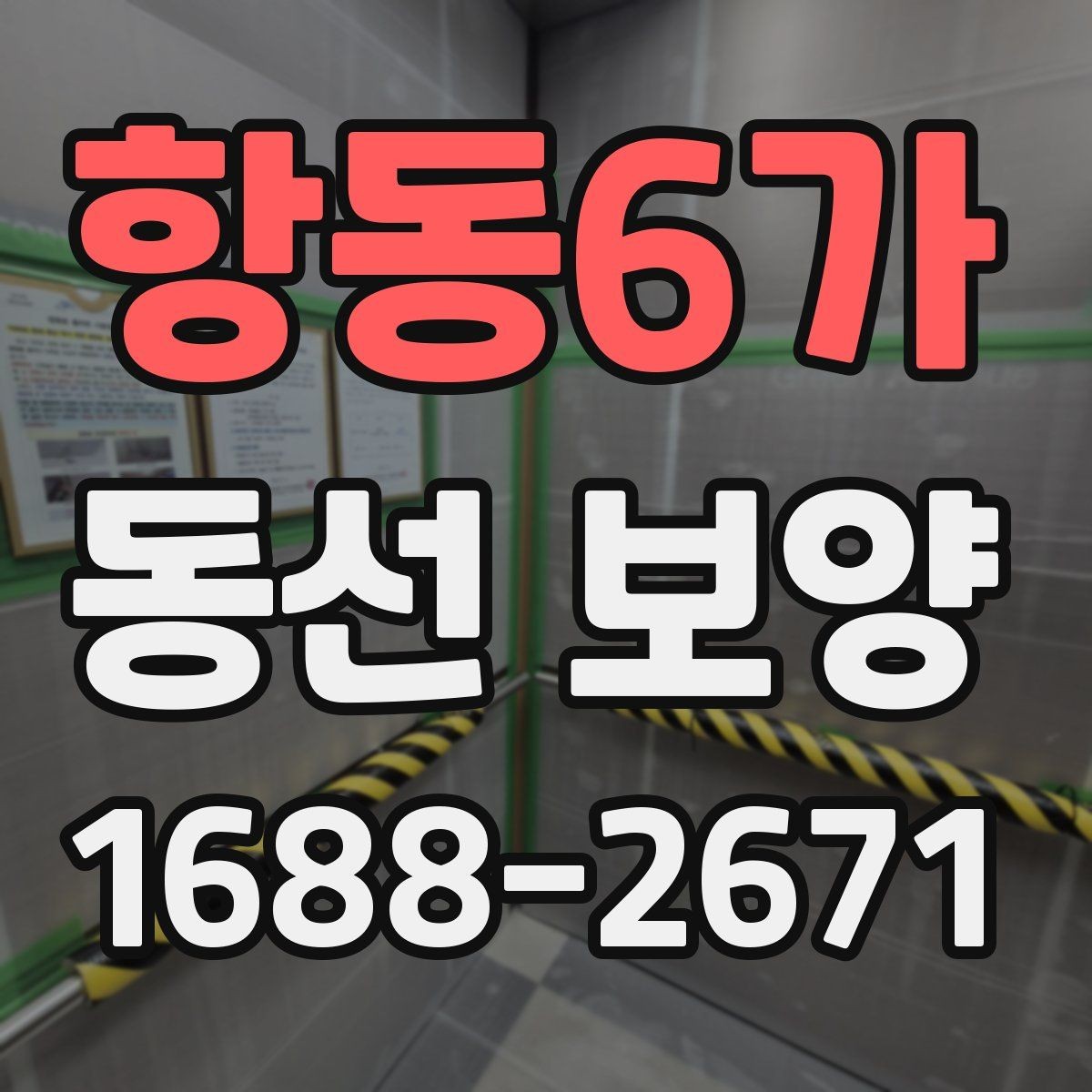 항동6가 동선 보양 비용과 범위는 어떻게 달라질까